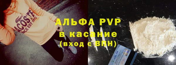 стаф Бородино