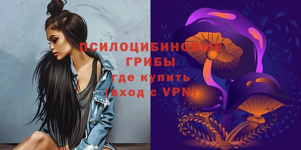 ешки Богородск